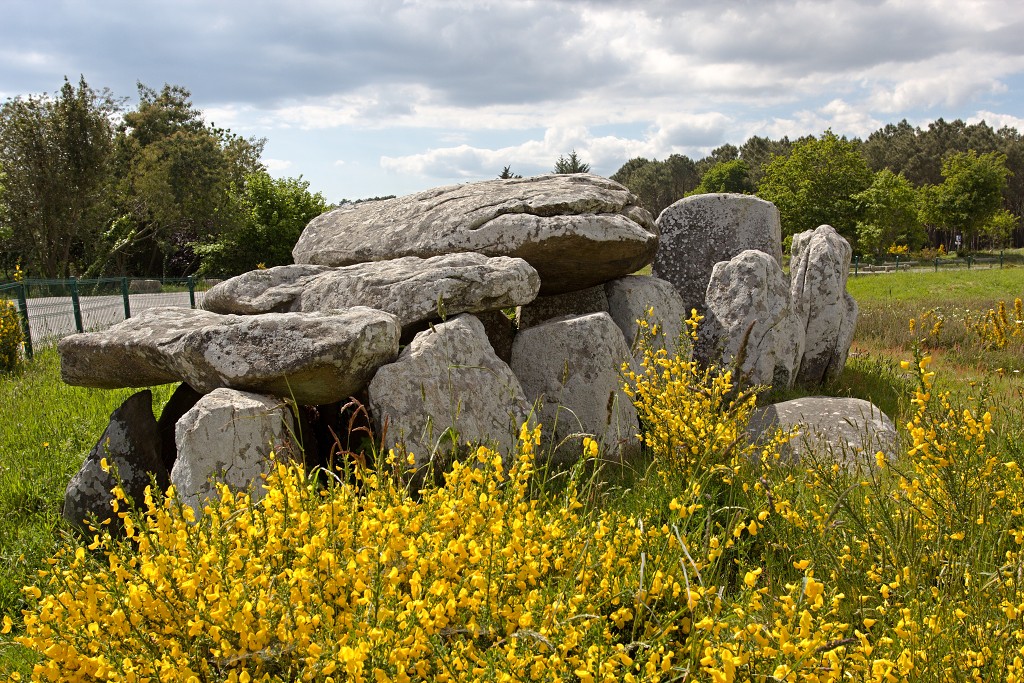 Megalithes megalieten megaliet carnac monteneuf champ dolent bretagne france frankrijk menhir obelix hdr menhirs morbihan asterix